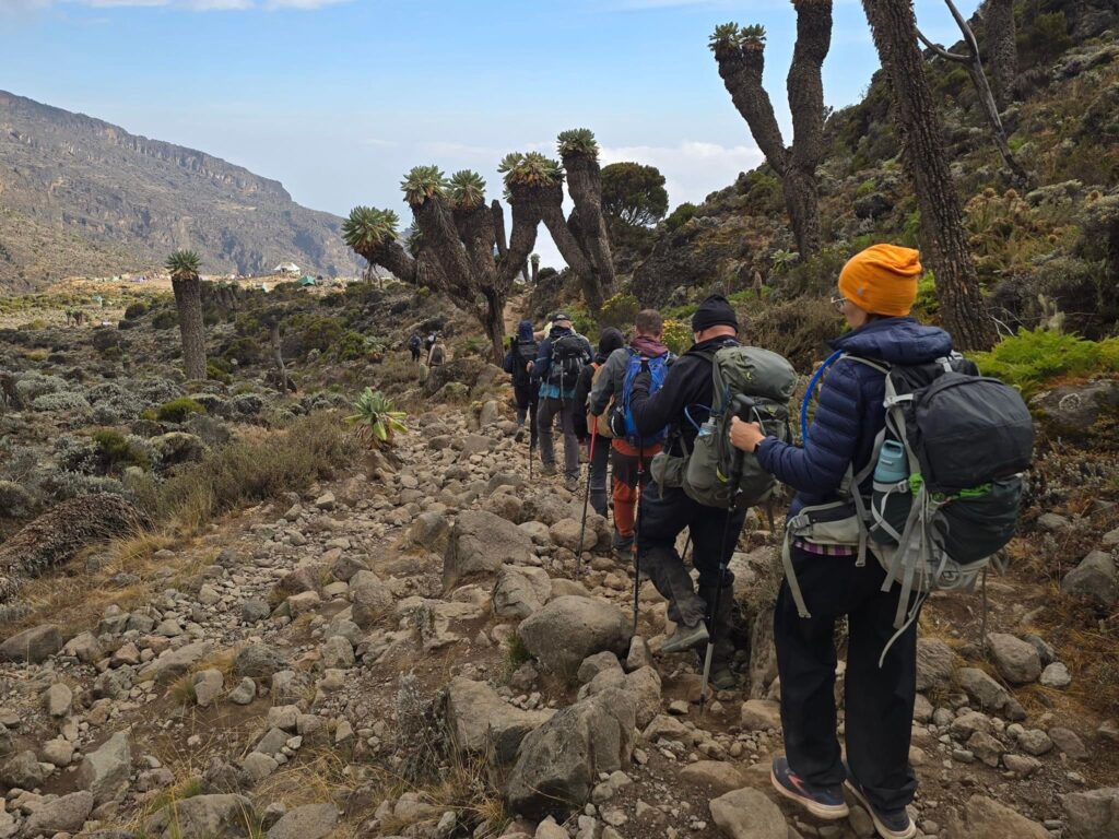 8 days Lemosho route