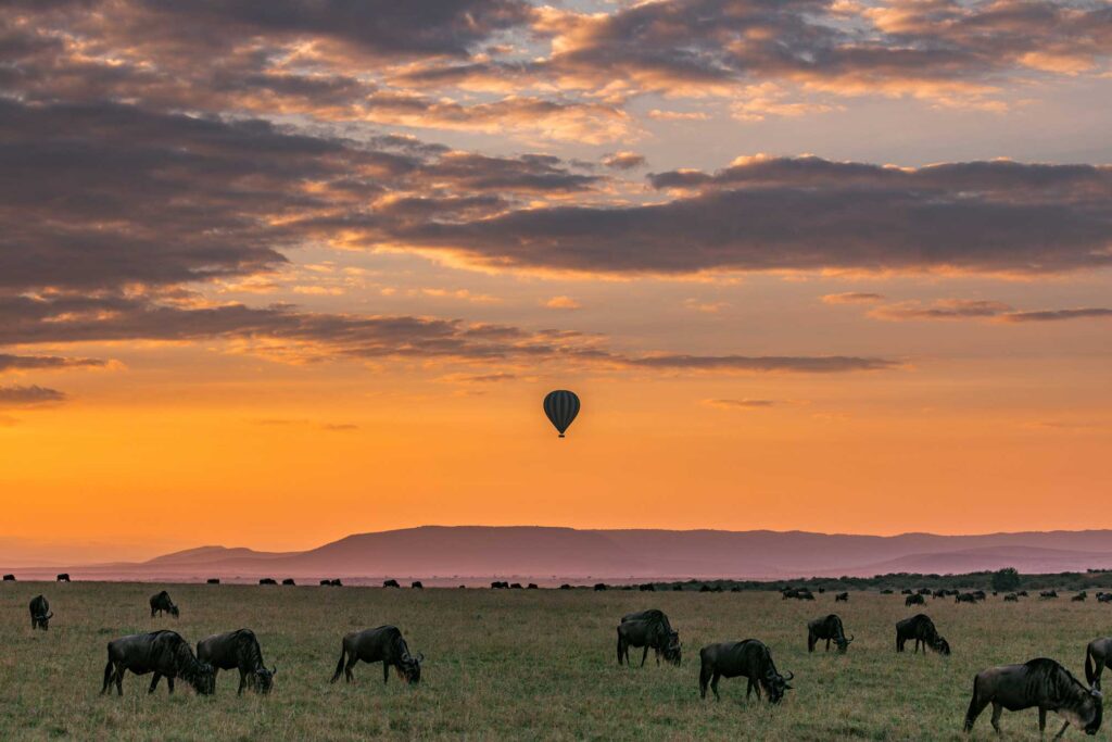 4 Days Tanzania Family Safari