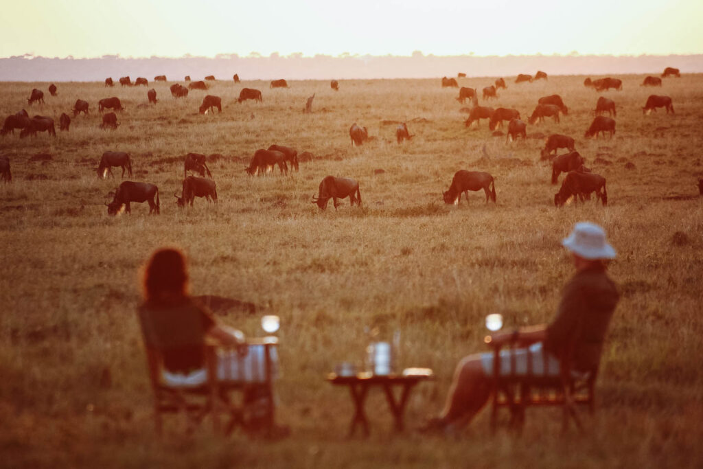 7 Days Honeymoon Safari