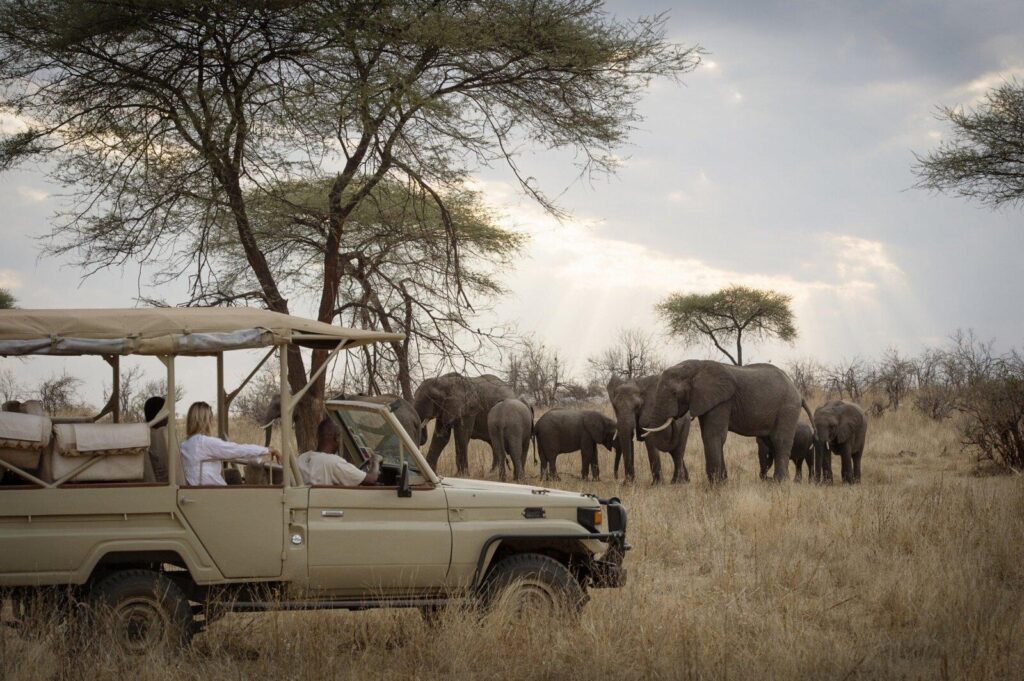 5 Days Tanzania Family Safari