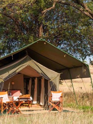 Serengeti-Safari-Camp-tent